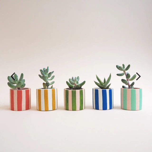 Mini Stripey Pot