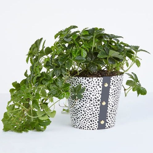 Spores Design Plant Pot Cover