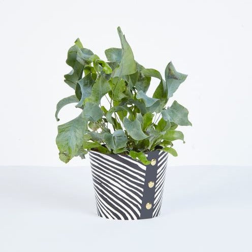 Wood Design Plant Pot Cover