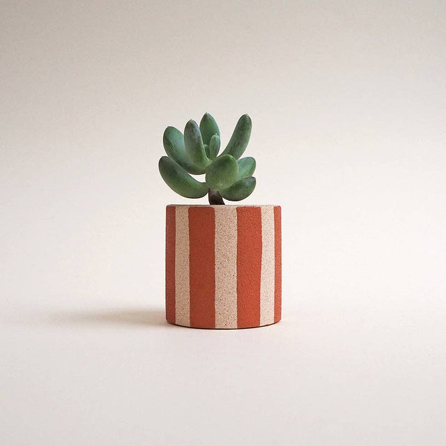 Mini Stripey Pot