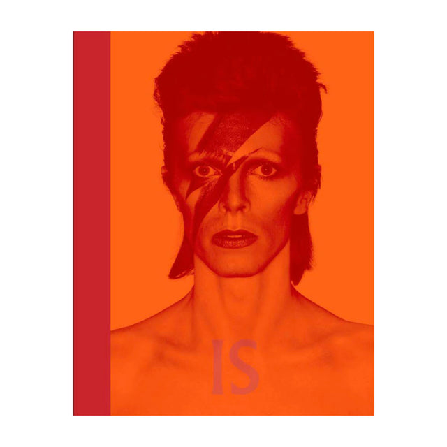 David Bowie Is Inside