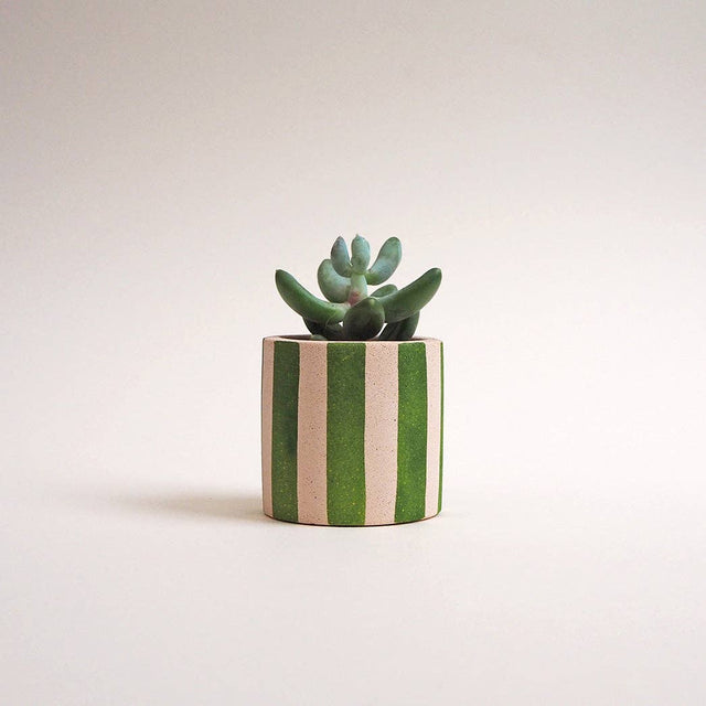 Mini Stripey Pot