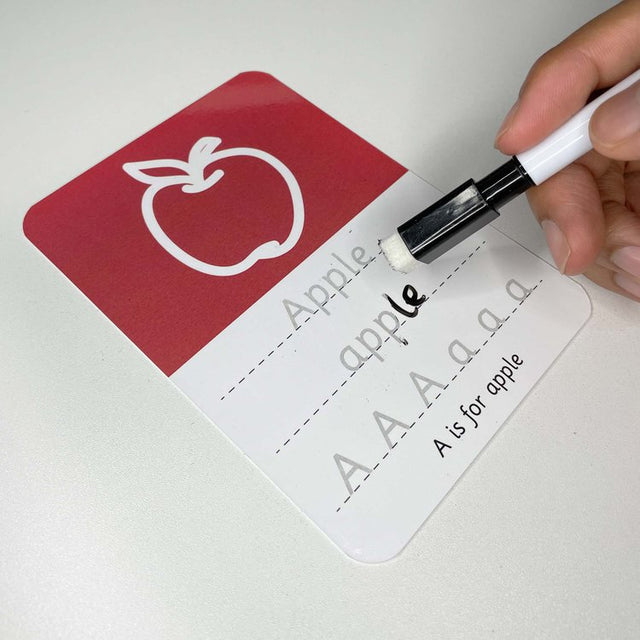 ABC Dry Wipe Interactive Reusable Flash Cards - Colourful
