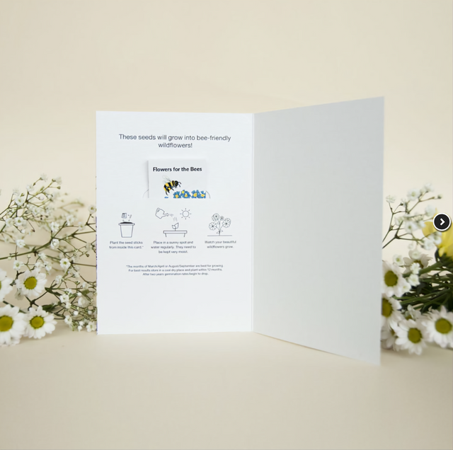 Flowers For The Bees Seeded Card