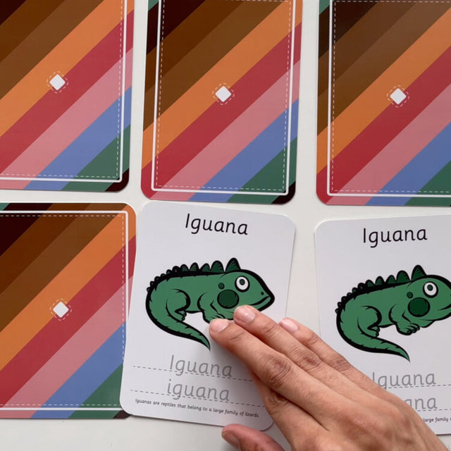 Pairs Dry Wipe Interactive 5-In-1 Reusable Learning Cards
