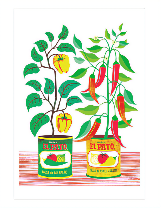 Chilli Plants Card